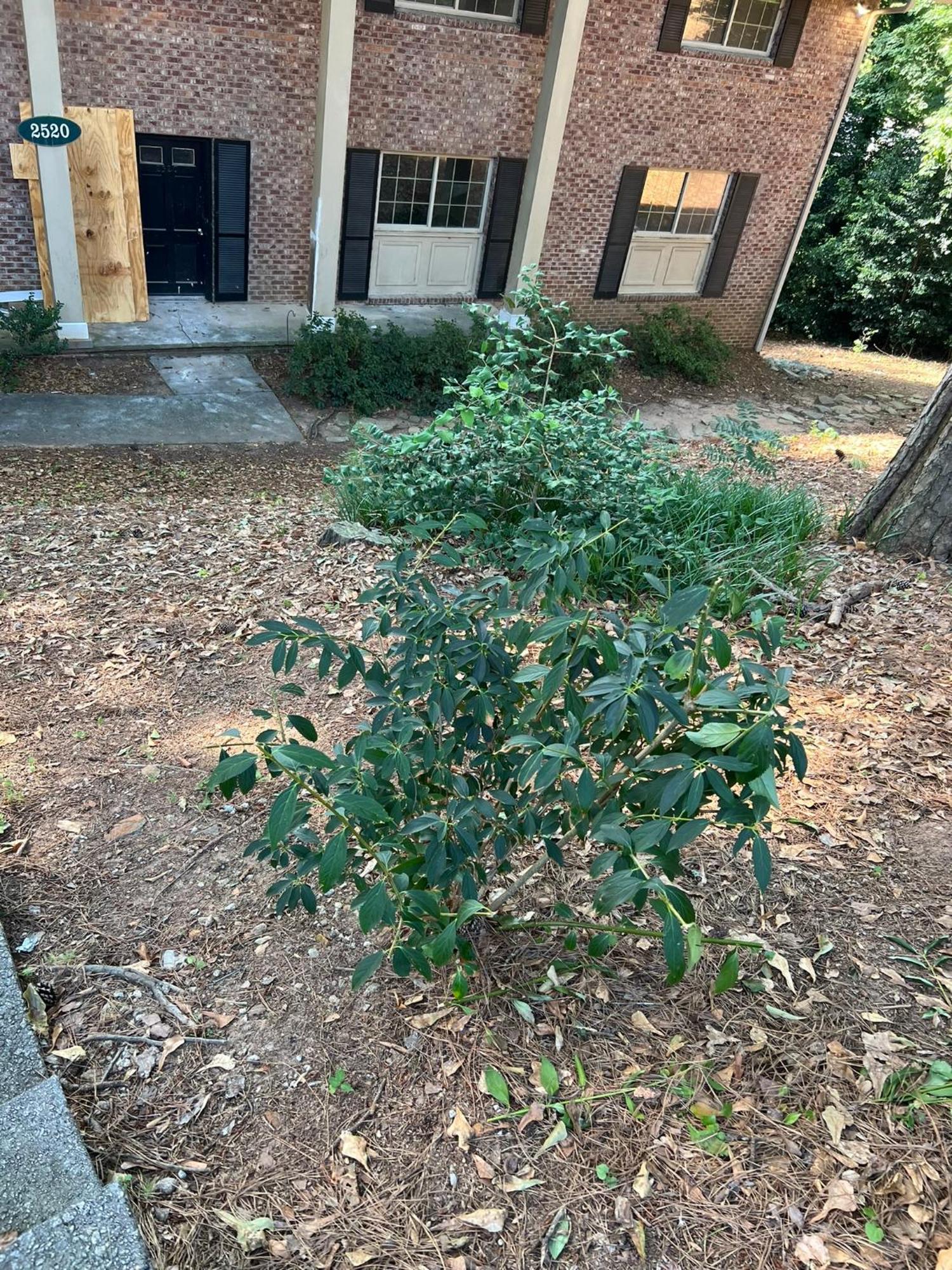 Apartment Just Peachy 2br 2ba Private Luxury Atlanta