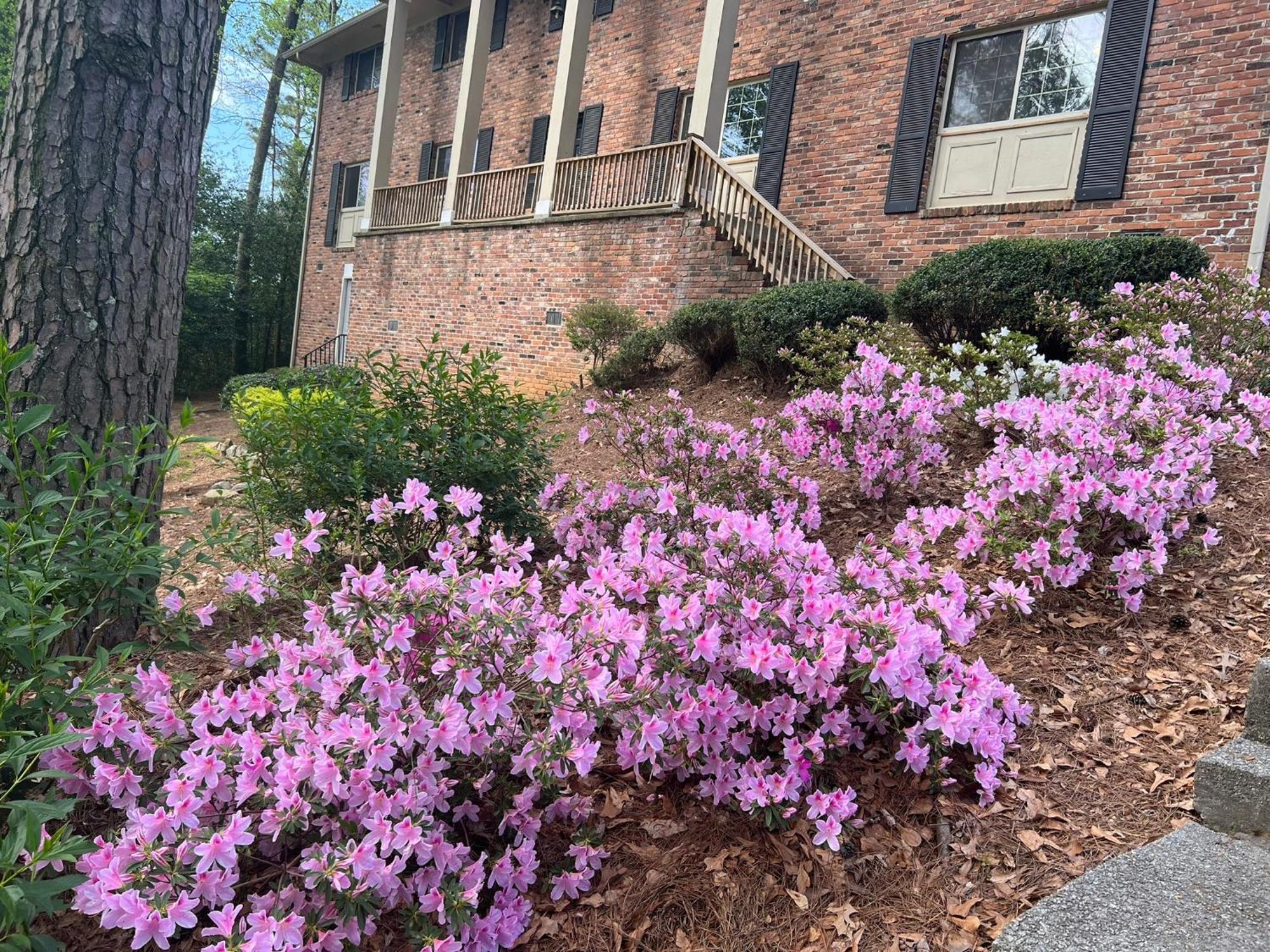 Just Peachy 2br 2ba Private Luxury Apartment Atlanta