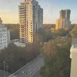Luxury Fully Furnished Studio Condo