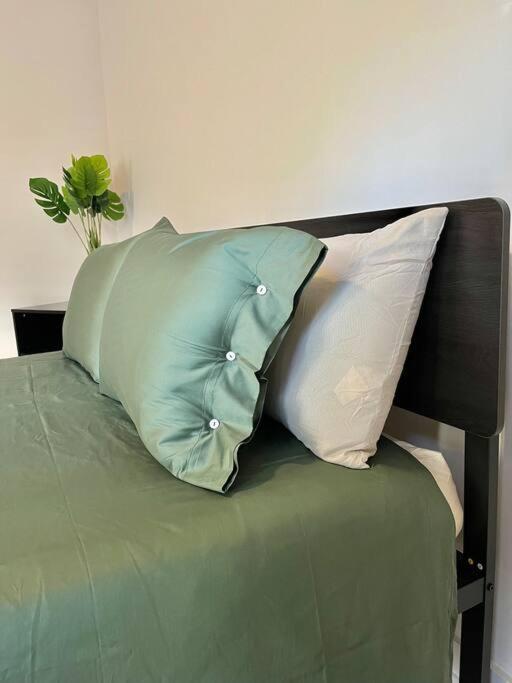 Emerald Oasis In Atlanta's Buckhead/midtown *