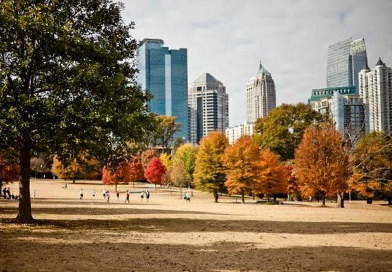 Hotel Courtyard By Marriott Atlanta Executive Park/emory Druid Hills