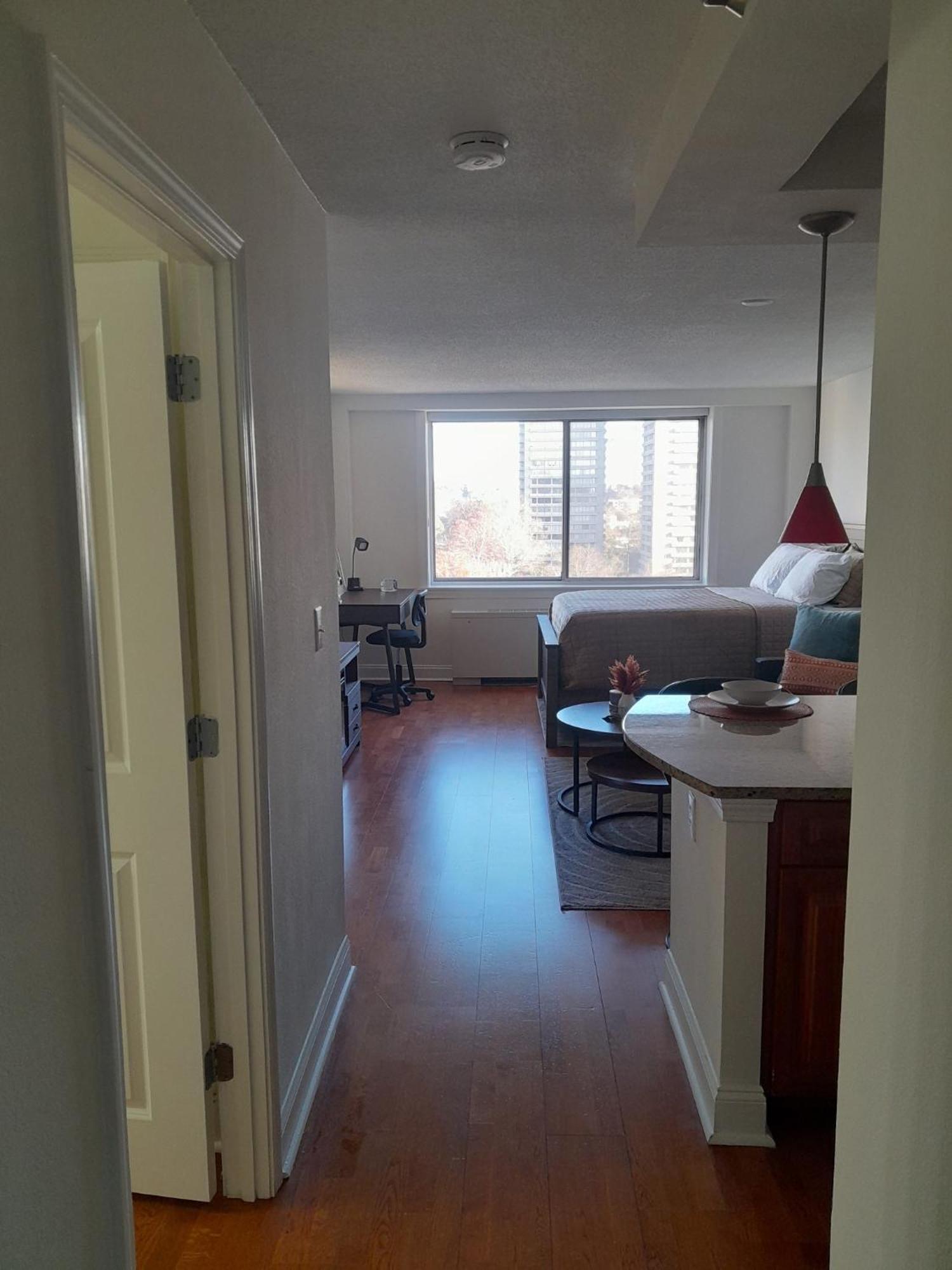 Luxury Fully Furnished Studio Atlanta