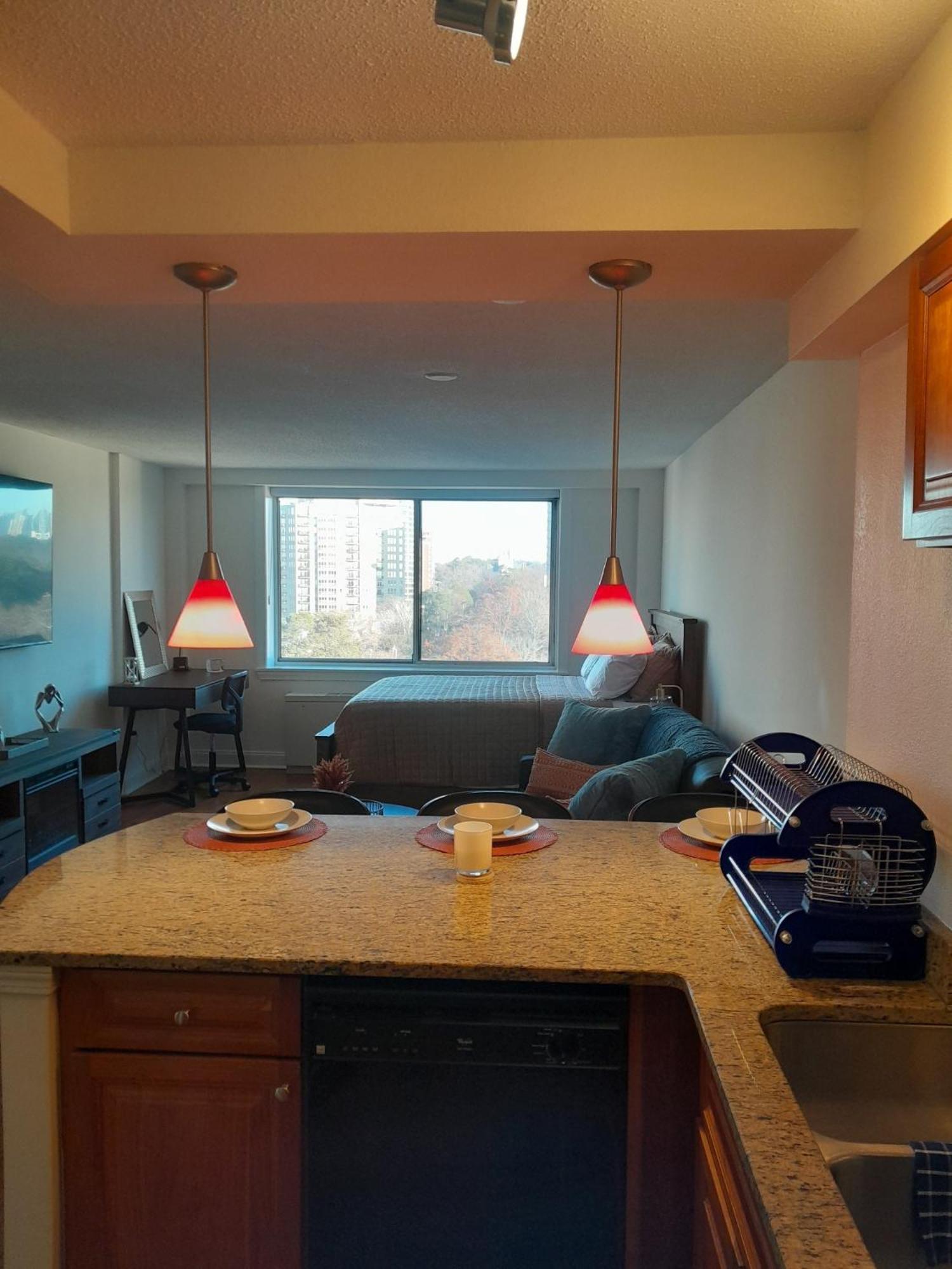 Luxury Fully Furnished Studio