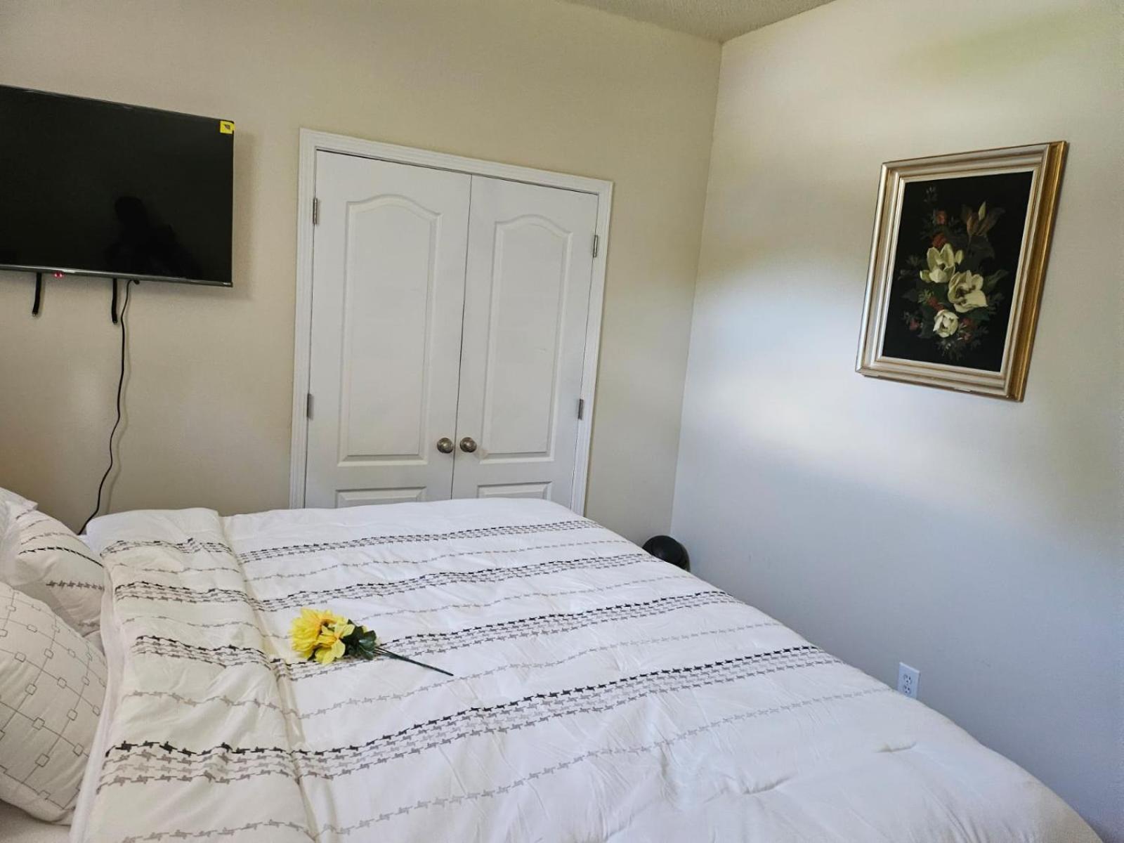 2 Luxury Bedrooms, 1 Bath, Shared Kitchen And Shared Living Areas * Atlanta