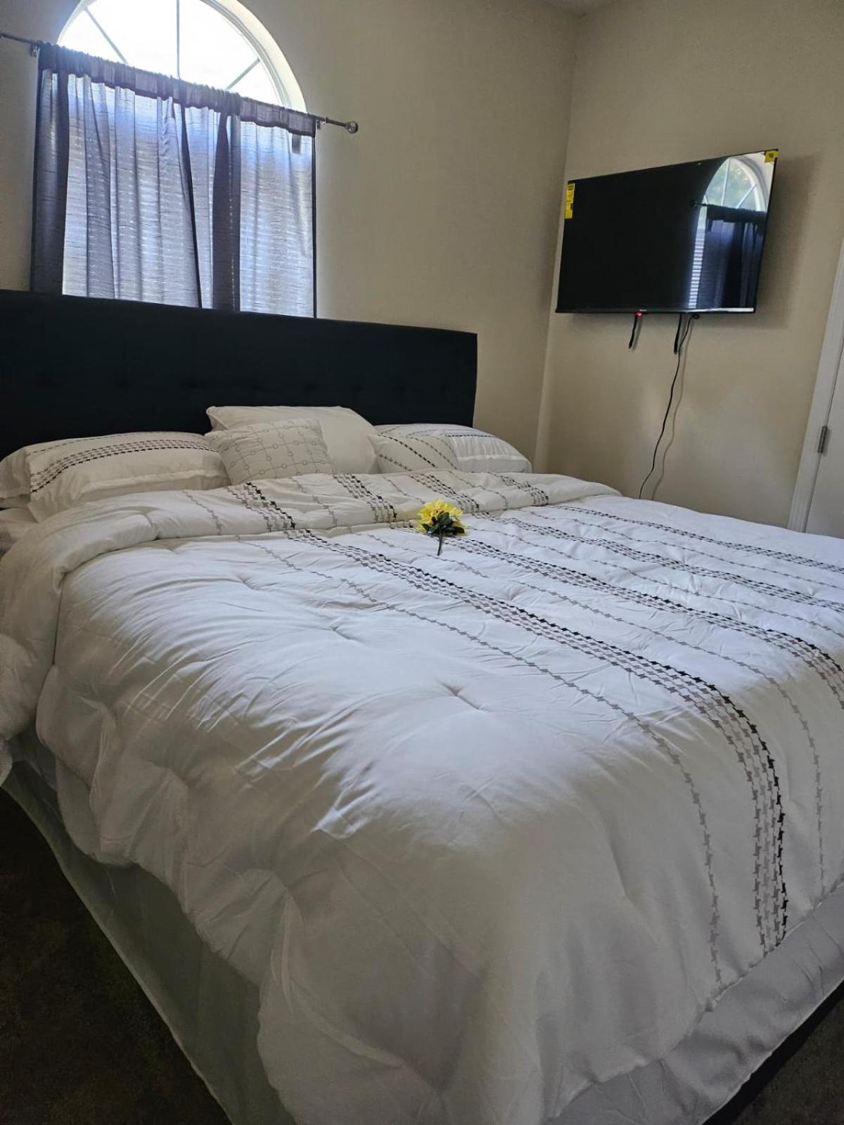 2 Luxury Bedrooms, 1 Bath, Shared Kitchen And Shared Living Areas * Atlanta