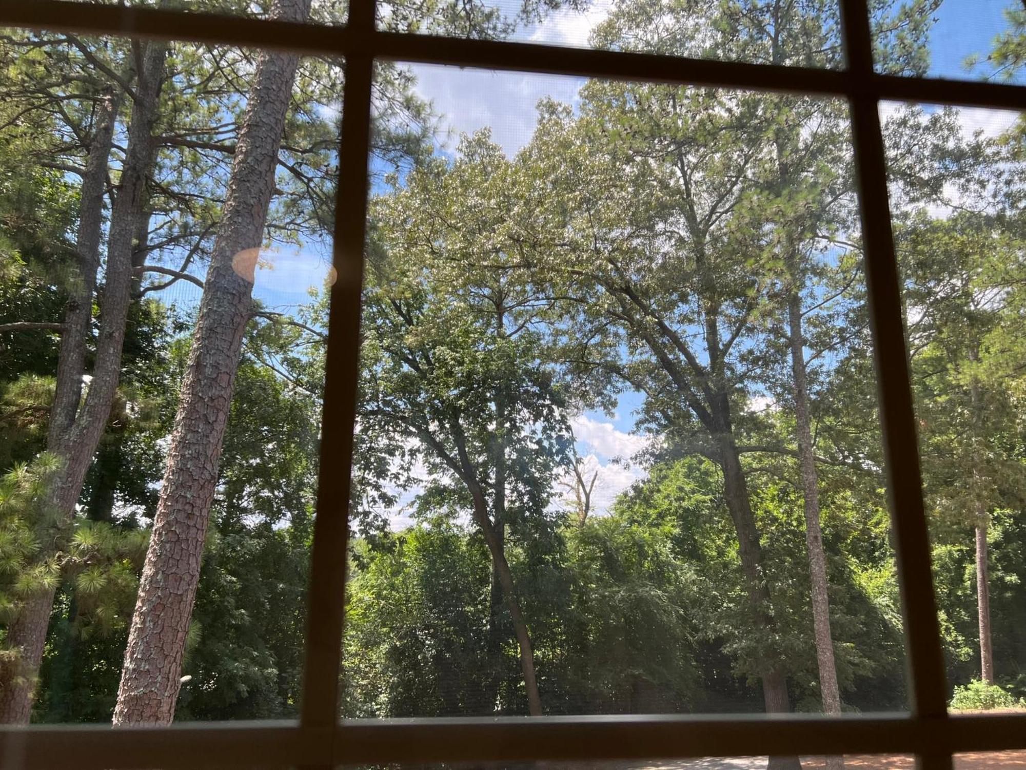 Just Peachy 2br 2ba Private Luxury *