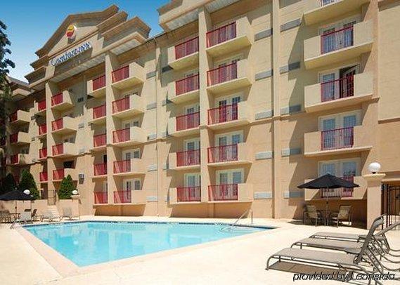 Comfort - Perimeter Inn