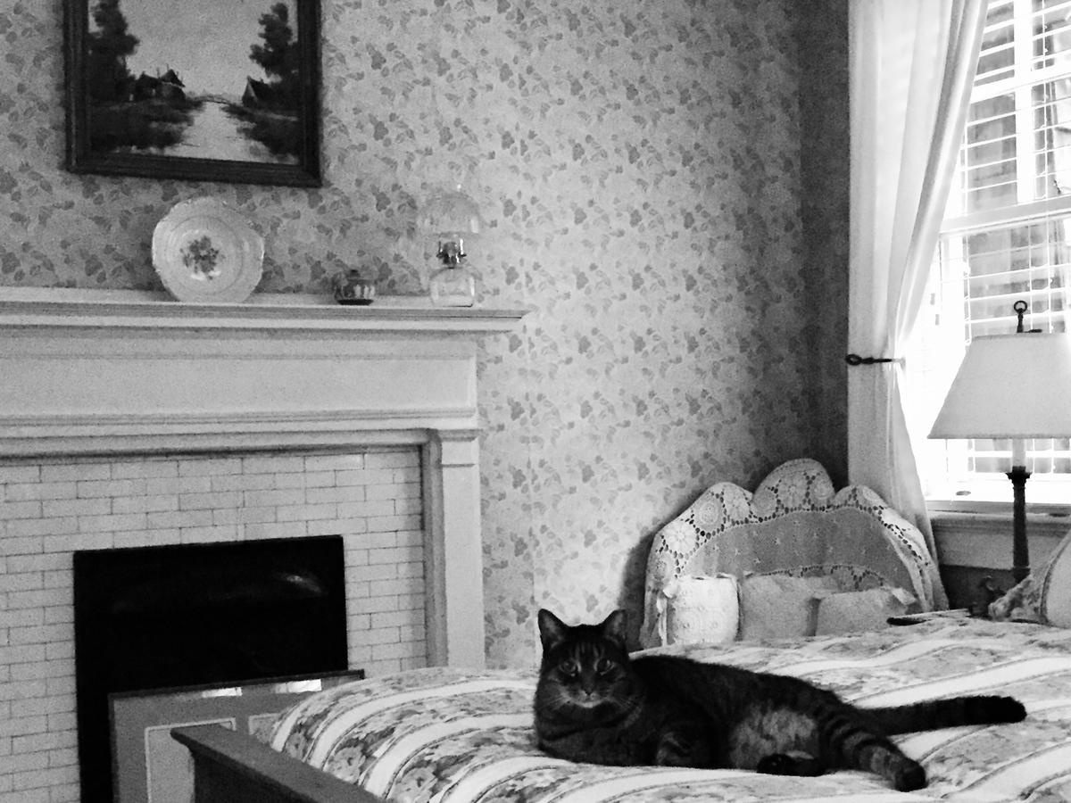 Bed & Breakfast Inman Park Bed And Breakfast 3*