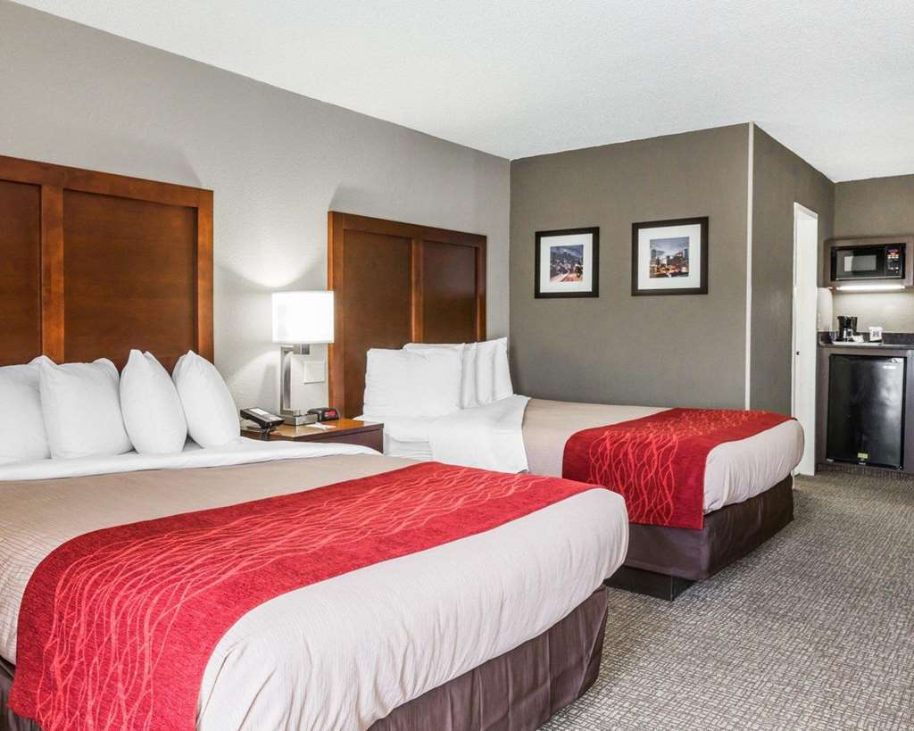 Comfort - Perimeter Inn