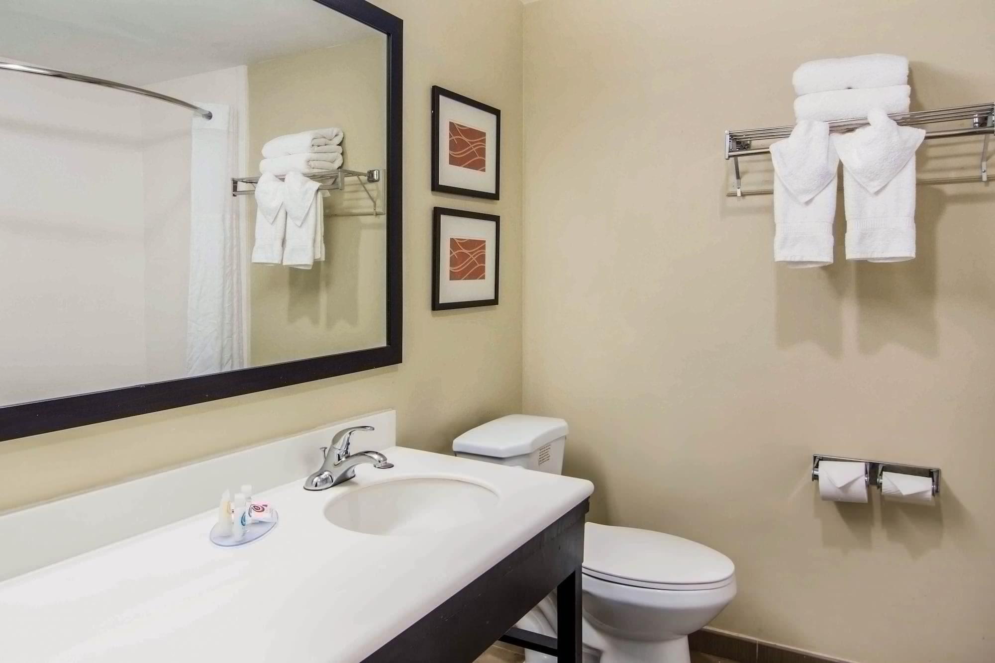 Inn Comfort Downtown South 3*
